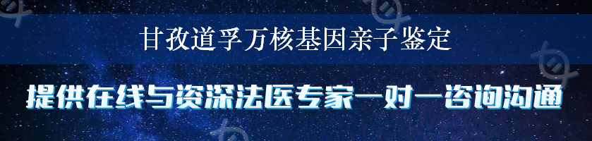 甘孜道孚万核基因亲子鉴定